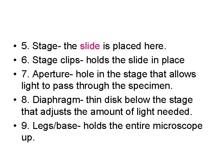  • 5. Stage- the slide is placed here. • 6. Stage clips- holds