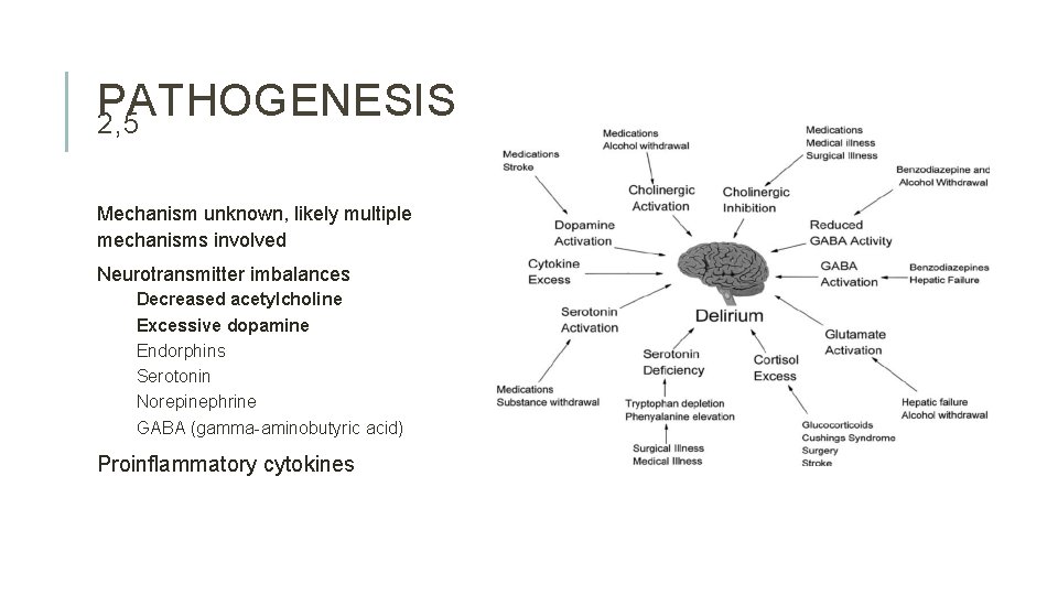 PATHOGENESIS 2, 5 Mechanism unknown, likely multiple mechanisms involved Neurotransmitter imbalances Decreased acetylcholine Excessive PATHOGENESIS 2, 5 Mechanism unknown, likely multiple mechanisms involved Neurotransmitter imbalances Decreased acetylcholine Excessive