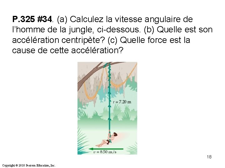 P. 325 #34. (a) Calculez la vitesse angulaire de l’homme de la jungle, ci-dessous. P. 325 #34. (a) Calculez la vitesse angulaire de l’homme de la jungle, ci-dessous.