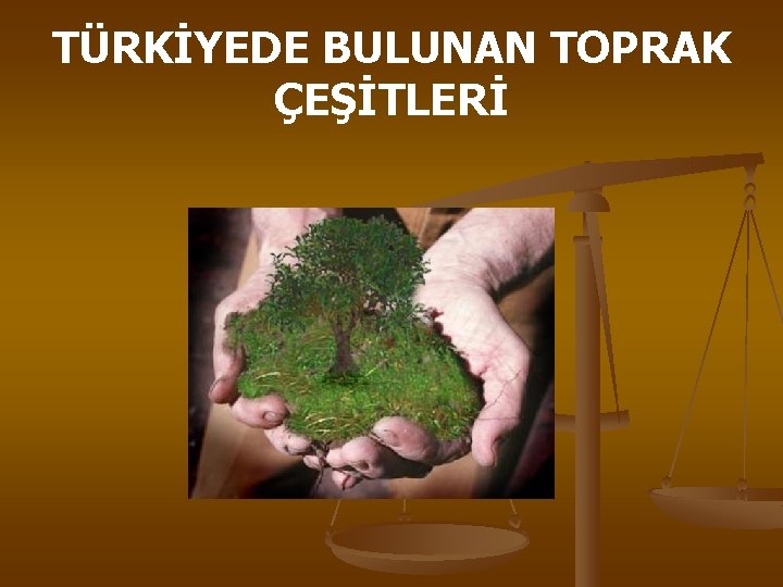 TÜRKİYEDE BULUNAN TOPRAK ÇEŞİTLERİ 