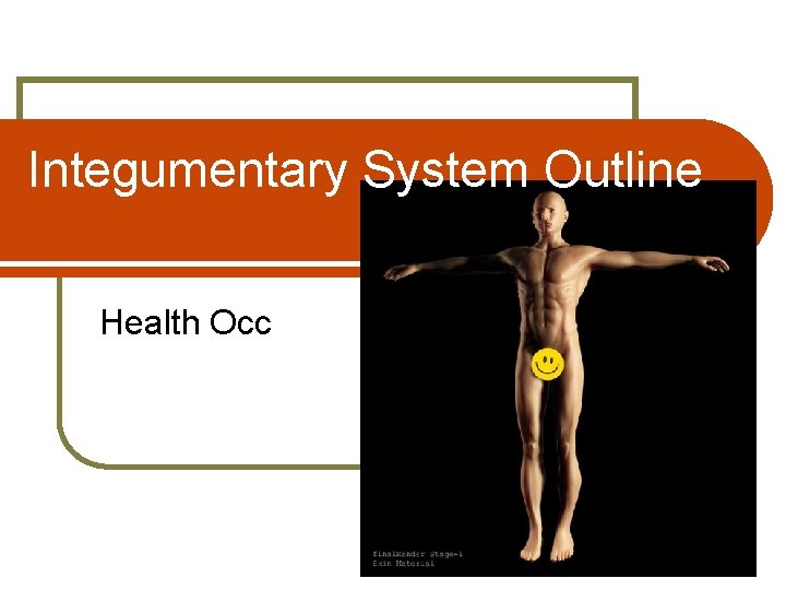 Integumentary System Outline Health Occ 