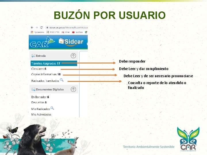 BUZÓN POR USUARIO Debe responder Debe Leer y dar cumplimiento Debe Leer y de