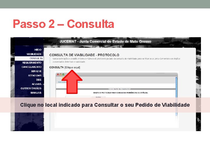 Passo 2 – Consulta Clique no local indicado para Consultar o seu Pedido de