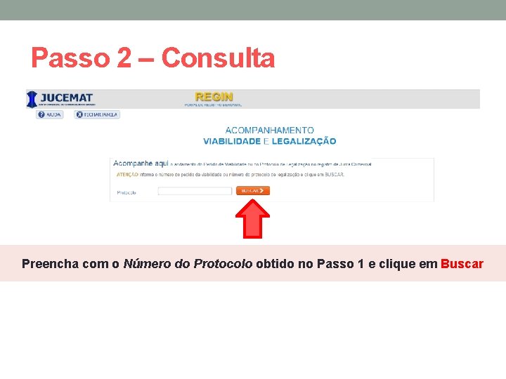 Passo 2 – Consulta Preencha com o Número do Protocolo obtido no Passo 1