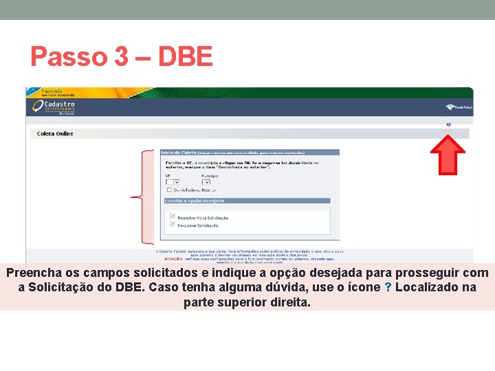 Passo 3 – DBE Preencha os campos solicitados e indique a opção desejada para