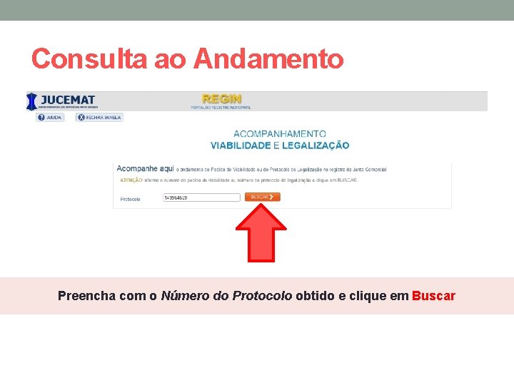 Consulta ao Andamento Preencha com o Número do Protocolo obtido e clique em Buscar