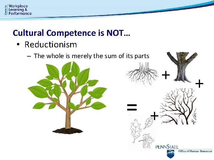 Cultural Competence is NOT… • Reductionism – The whole is merely the sum of