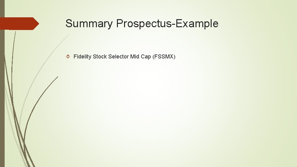 Summary Prospectus-Example Fidelity Stock Selector Mid Cap (FSSMX) 