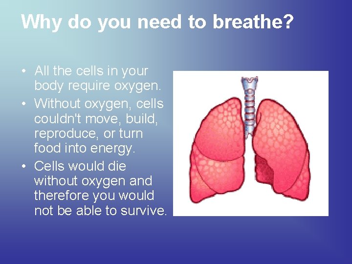 Why do you need to breathe? • All the cells in your body require