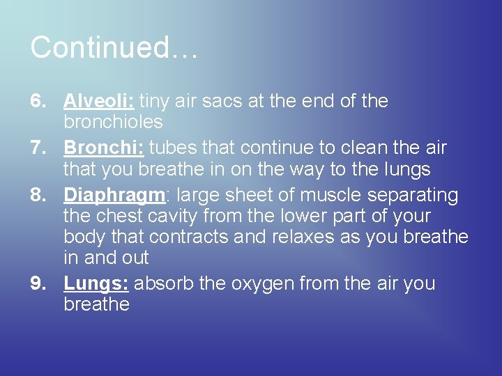 Continued… 6. Alveoli: tiny air sacs at the end of the bronchioles 7. Bronchi: