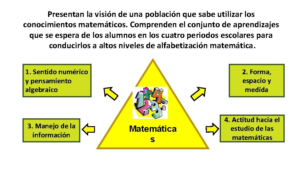 Presentan la visión de una población que sabe utilizar los conocimientos matemáticos. Comprenden el