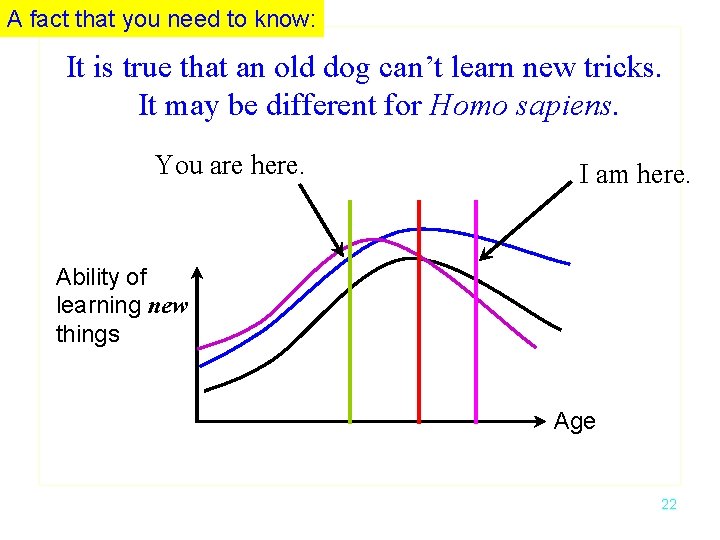 A fact that you need to know: It is true that an old dog