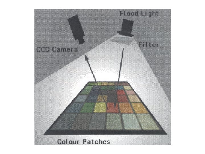 Experimental setting 