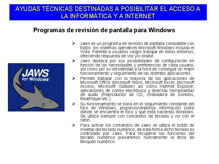 AYUDAS TÉCNICAS DESTINADAS A POSIBILITAR EL ACCESO A LA INFORMÁTICA Y A INTERNET Programas