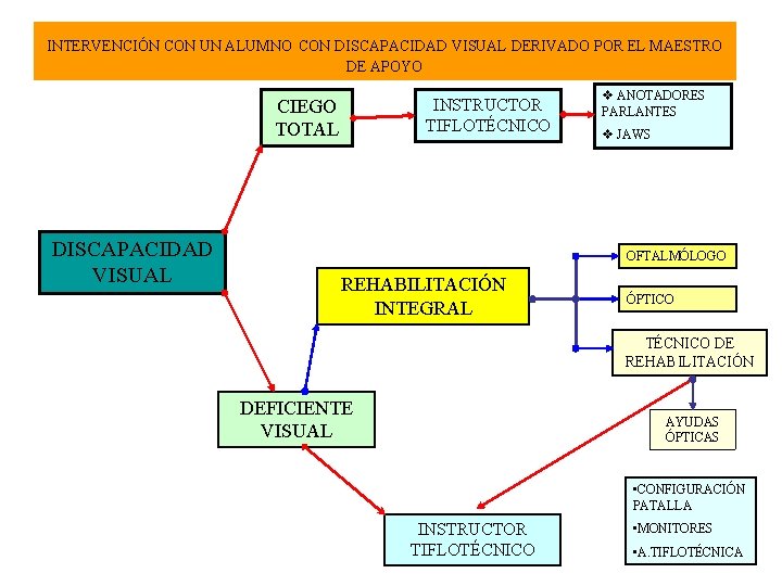 INTERVENCIÓN CON UN ALUMNO CON DISCAPACIDAD VISUAL DERIVADO POR EL MAESTRO DE APOYO INSTRUCTOR