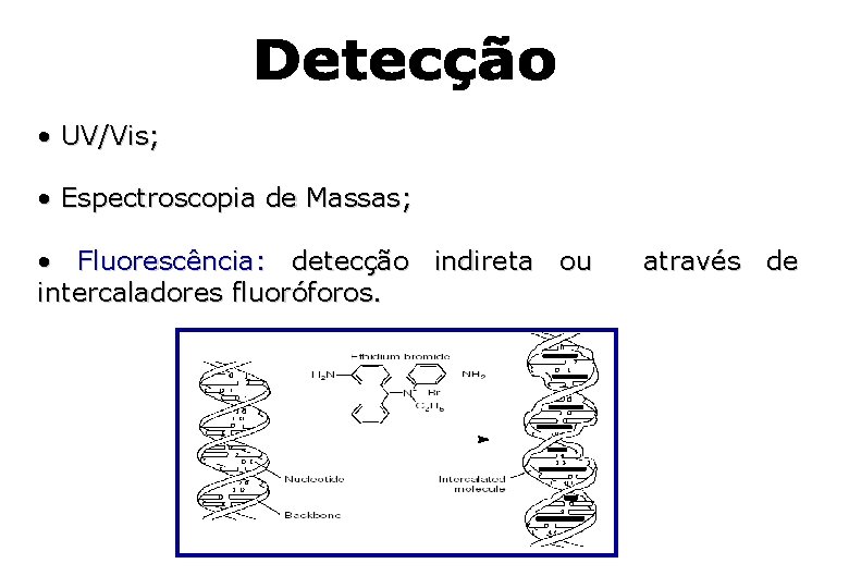 • UV/Vis; • Espectroscopia de Massas; • Fluorescência: detecção indireta ou intercaladores fluoróforos. • UV/Vis; • Espectroscopia de Massas; • Fluorescência: detecção indireta ou intercaladores fluoróforos.