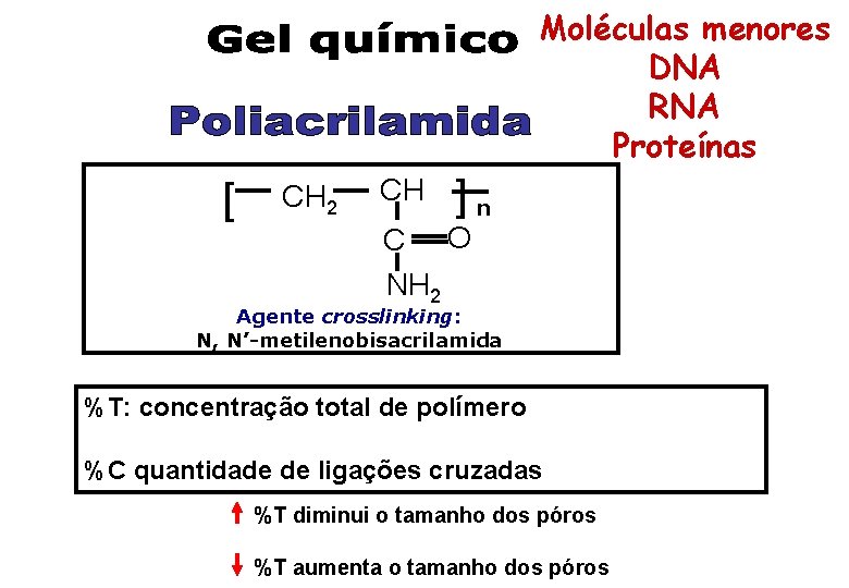 Moléculas menores DNA RNA Proteínas [ CH 2 CH ]n C O NH 2