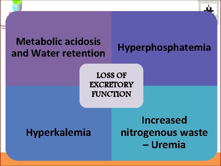 Metabolic acidosis and Water retention Hyperphosphatemia LOSS OF EXCRETORY FUNCTION Hyperkalemia Increased nitrogenous waste