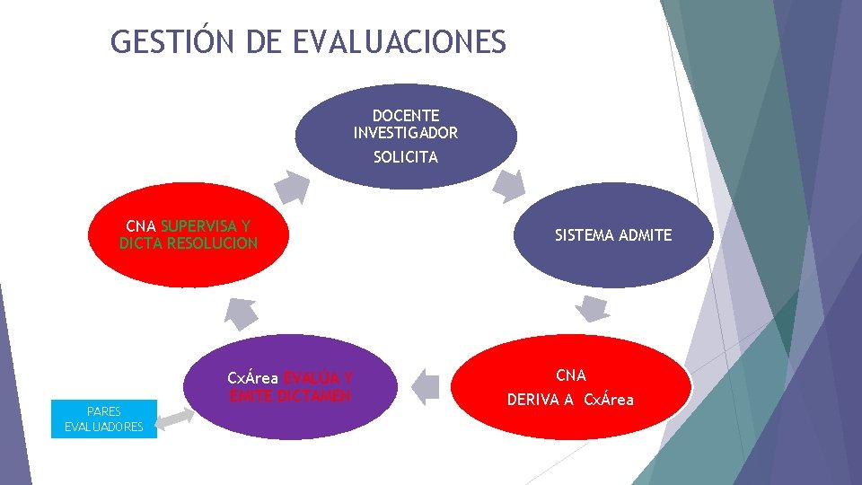GESTIÓN DE EVALUACIONES DOCENTE INVESTIGADOR SOLICITA CNA SUPERVISA Y DICTA RESOLUCION PARES EVALUADORES CxÁrea
