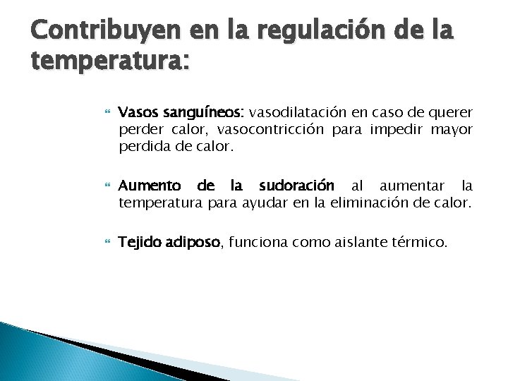 Contribuyen en la regulación de la temperatura: Vasos sanguíneos: vasodilatación en caso de querer