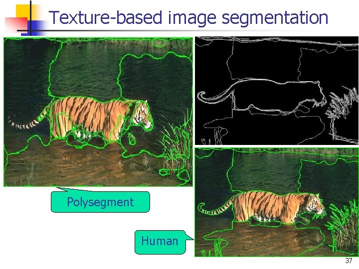 Texture-based image segmentation Polysegment Human 37 