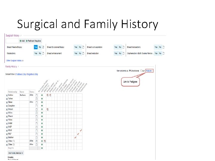 Surgical and Family History Surgical and Family History