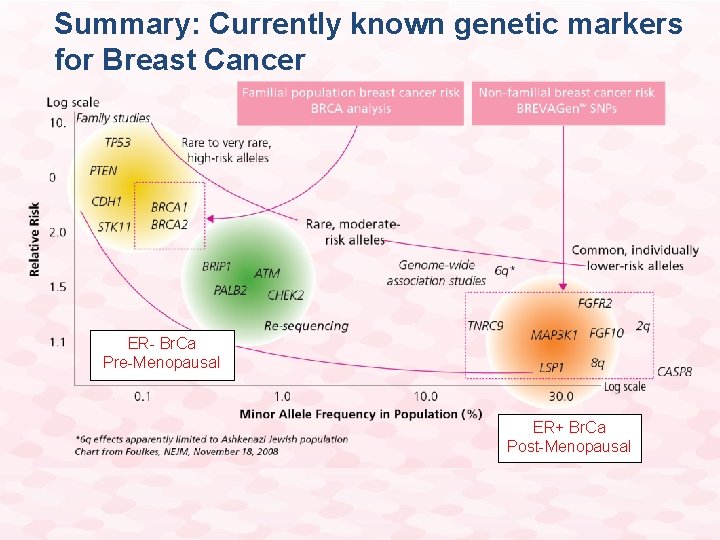 Summary: Currently known genetic markers for Breast Cancer ER- Br. Ca Pre-Menopausal ER+ Br. Summary: Currently known genetic markers for Breast Cancer ER- Br. Ca Pre-Menopausal ER+ Br.