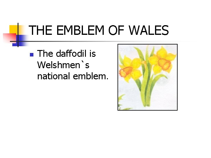 THE EMBLEM OF WALES n The daffodil is Welshmen`s national emblem. 