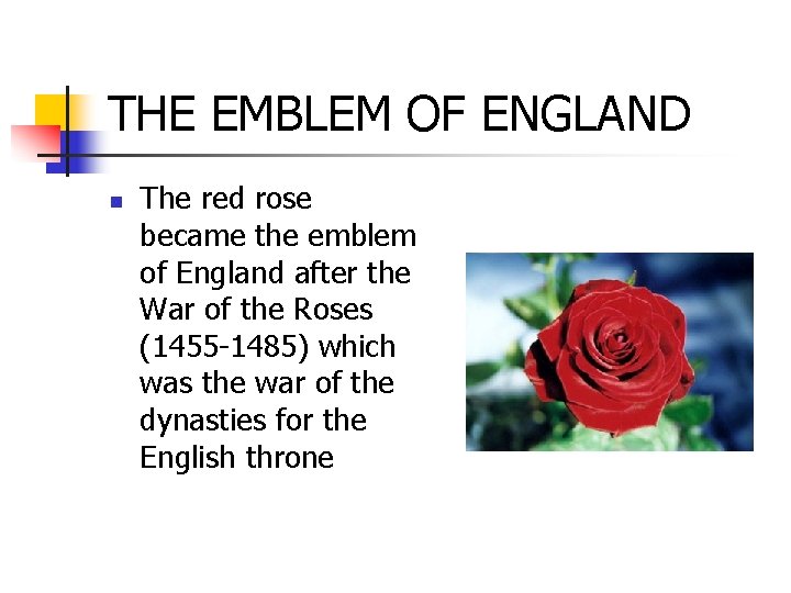 THE EMBLEM OF ENGLAND n The red rose became the emblem of England after