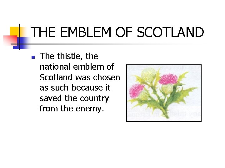 THE EMBLEM OF SCOTLAND n The thistle, the national emblem of Scotland was chosen