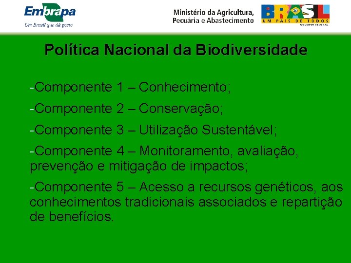 Política Nacional da Biodiversidade -Componente 1 – Conhecimento; -Componente 2 – Conservação; -Componente 3