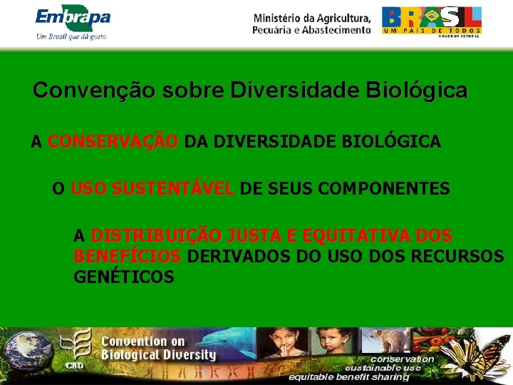 Convenção sobre Diversidade Biológica A CONSERVAÇÃO DA DIVERSIDADE BIOLÓGICA O USO SUSTENTÁVEL DE SEUS
