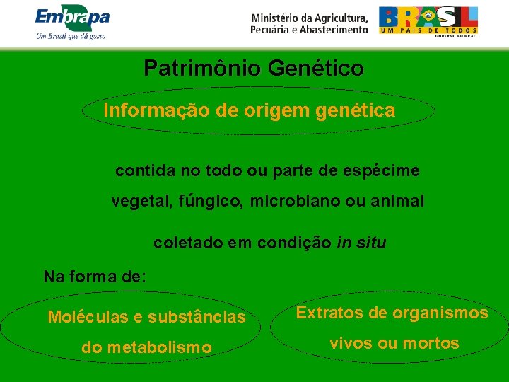 Patrimônio Genético Informação de origem genética contida no todo ou parte de espécime vegetal,