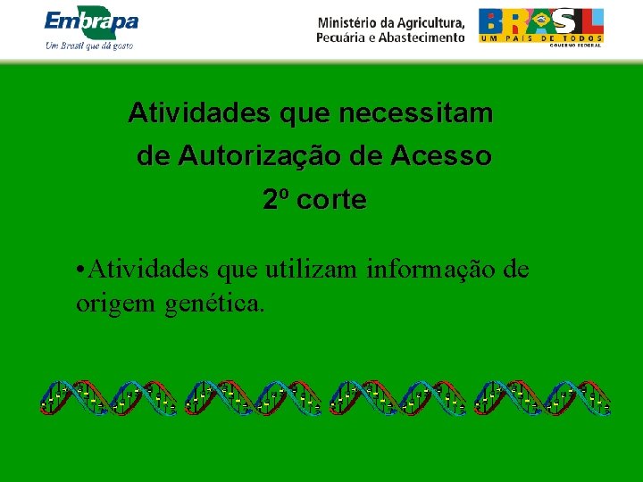 Atividades que necessitam de Autorização de Acesso 2º corte • Atividades que utilizam informação