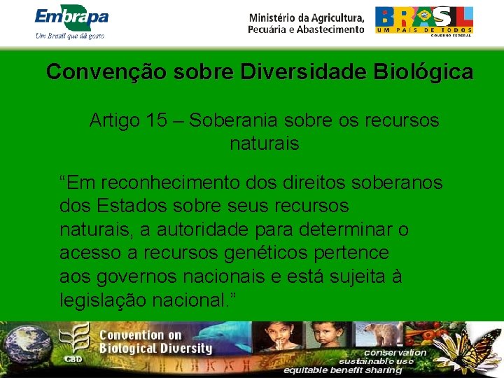 Convenção sobre Diversidade Biológica Artigo 15 – Soberania sobre os recursos naturais “Em reconhecimento