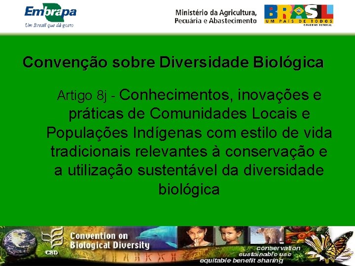 Convenção sobre Diversidade Biológica Artigo 8 j - Conhecimentos, inovações e práticas de Comunidades