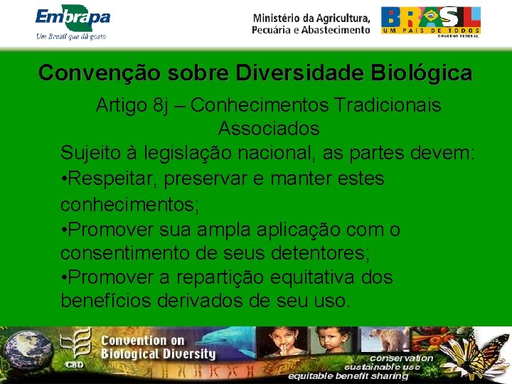 Convenção sobre Diversidade Biológica Artigo 8 j – Conhecimentos Tradicionais Associados Sujeito à legislação