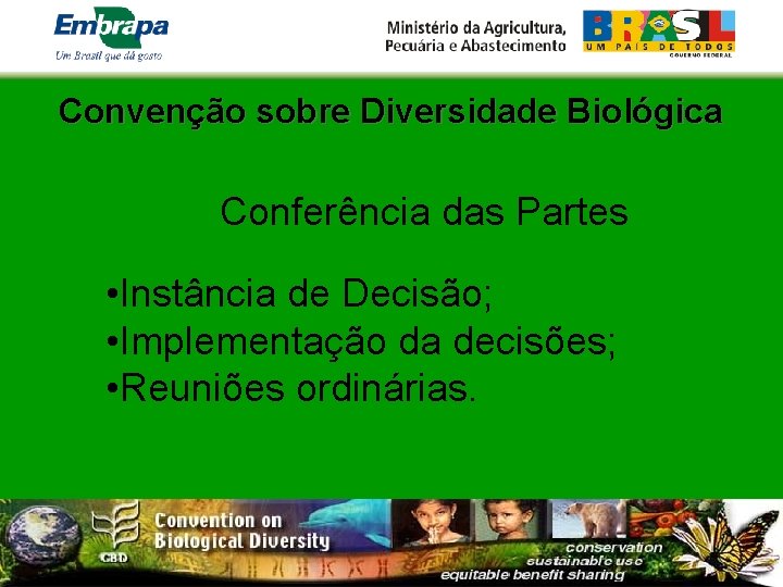 Convenção sobre Diversidade Biológica Conferência das Partes • Instância de Decisão; • Implementação da