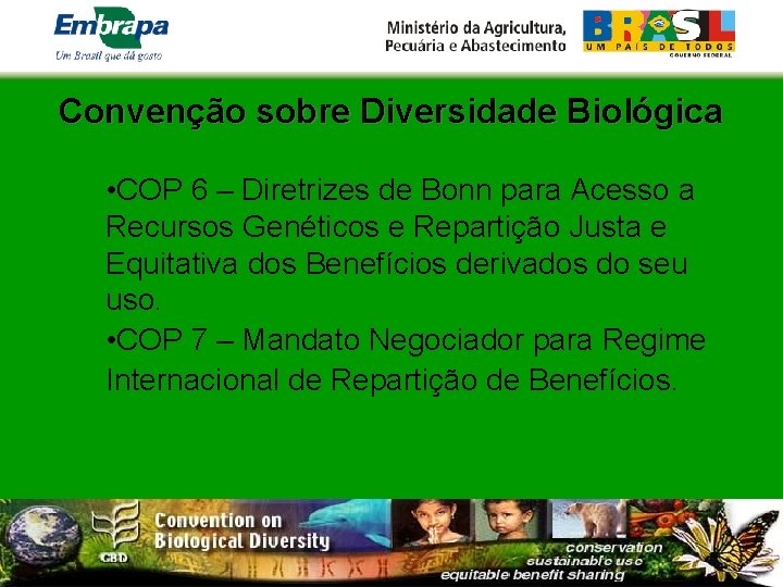 Convenção sobre Diversidade Biológica • COP 6 – Diretrizes de Bonn para Acesso a