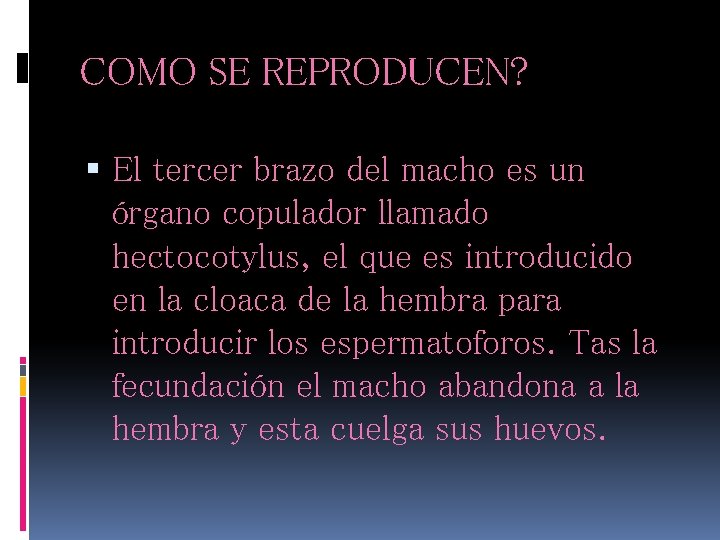 COMO SE REPRODUCEN? El tercer brazo del macho es un órgano copulador llamado hectocotylus, COMO SE REPRODUCEN? El tercer brazo del macho es un órgano copulador llamado hectocotylus,