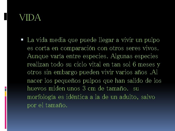 VIDA La vida media que puede llegar a vivir un pulpo es corta en VIDA La vida media que puede llegar a vivir un pulpo es corta en
