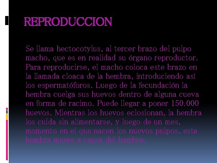 REPRODUCCION Se llama hectocotylus, al tercer brazo del pulpo macho, que es en realidad REPRODUCCION Se llama hectocotylus, al tercer brazo del pulpo macho, que es en realidad