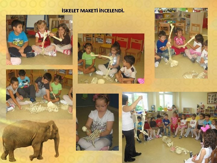 İSKELET MAKETİ İNCELENDİ. 