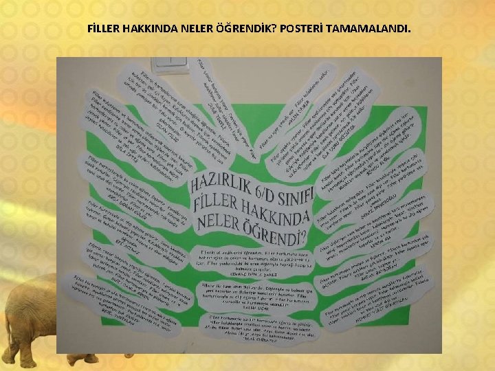 FİLLER HAKKINDA NELER ÖĞRENDİK? POSTERİ TAMAMALANDI. 