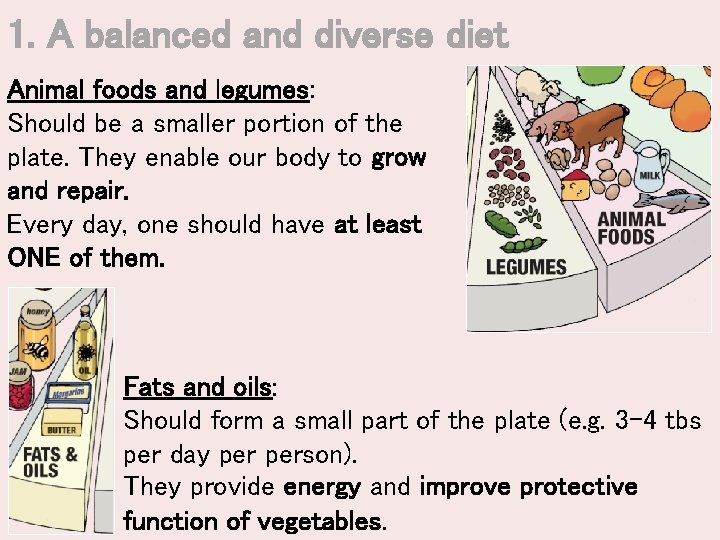 1. A balanced and diverse diet Animal foods and legumes: Should be a smaller