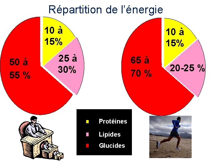 Répartition de l’énergie 10 à 15% 50 à 55 % 10 à 15% 25