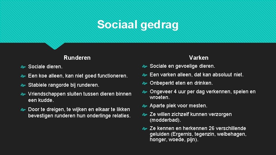 Sociaal gedrag Runderen Varken Sociale dieren. Sociale en gevoelige dieren. Een koe alleen, kan Sociaal gedrag Runderen Varken Sociale dieren. Sociale en gevoelige dieren. Een koe alleen, kan
