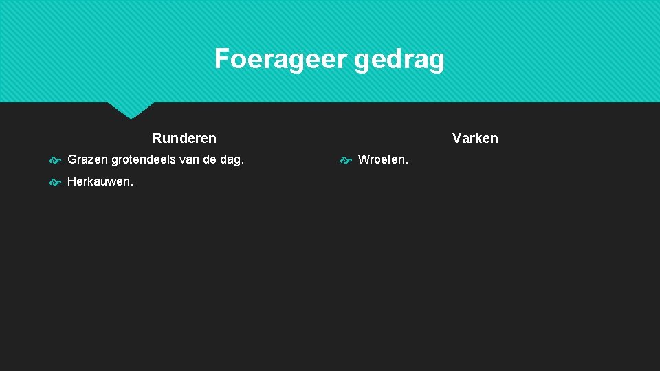 Foerageer gedrag Runderen Grazen grotendeels van de dag. Herkauwen. Varken Wroeten. Foerageer gedrag Runderen Grazen grotendeels van de dag. Herkauwen. Varken Wroeten.