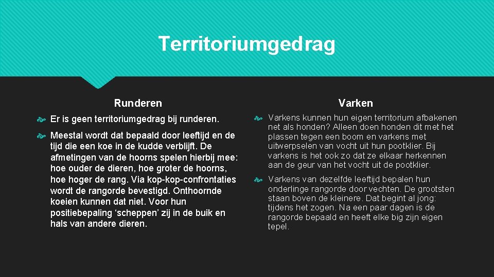 Territoriumgedrag Runderen Er is geen territoriumgedrag bij runderen. Meestal wordt dat bepaald door leeftijd Territoriumgedrag Runderen Er is geen territoriumgedrag bij runderen. Meestal wordt dat bepaald door leeftijd
