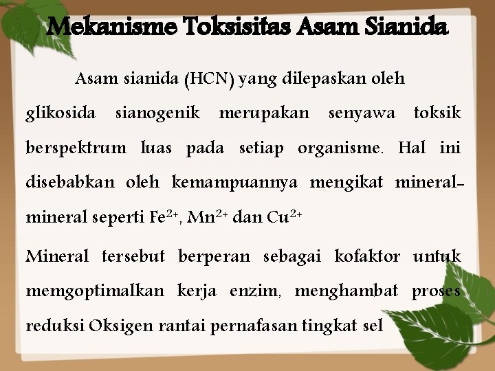 Mekanisme Toksisitas Asam Sianida Asam sianida (HCN) yang dilepaskan oleh glikosida sianogenik merupakan senyawa